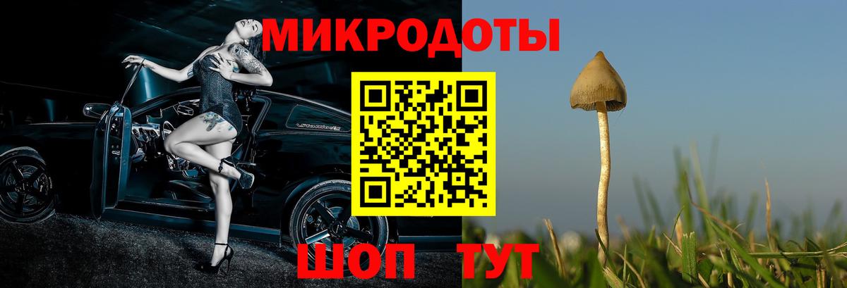 Псилоцибиновые грибы GOLDEN TEACHER  Галлюциногенные грибы MAGIC MUSHROOMS  Кемерово  Вход с VPN 